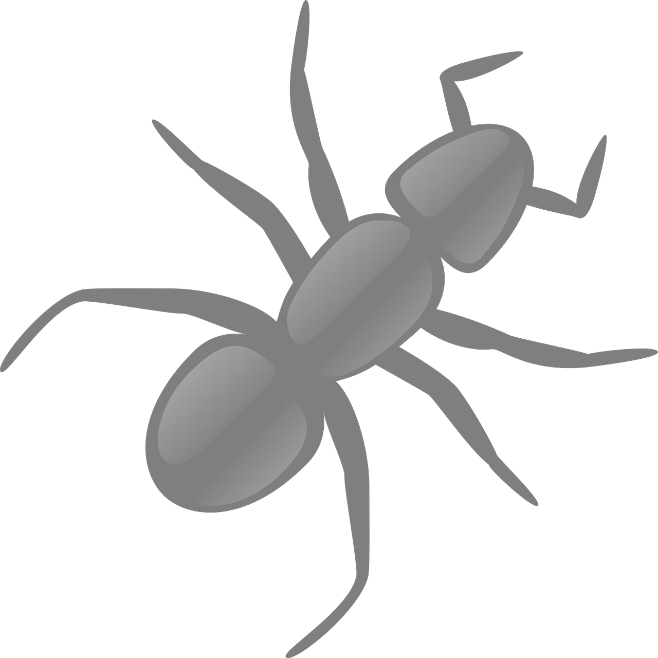 gray