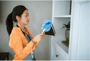consider the transfer domestic worker